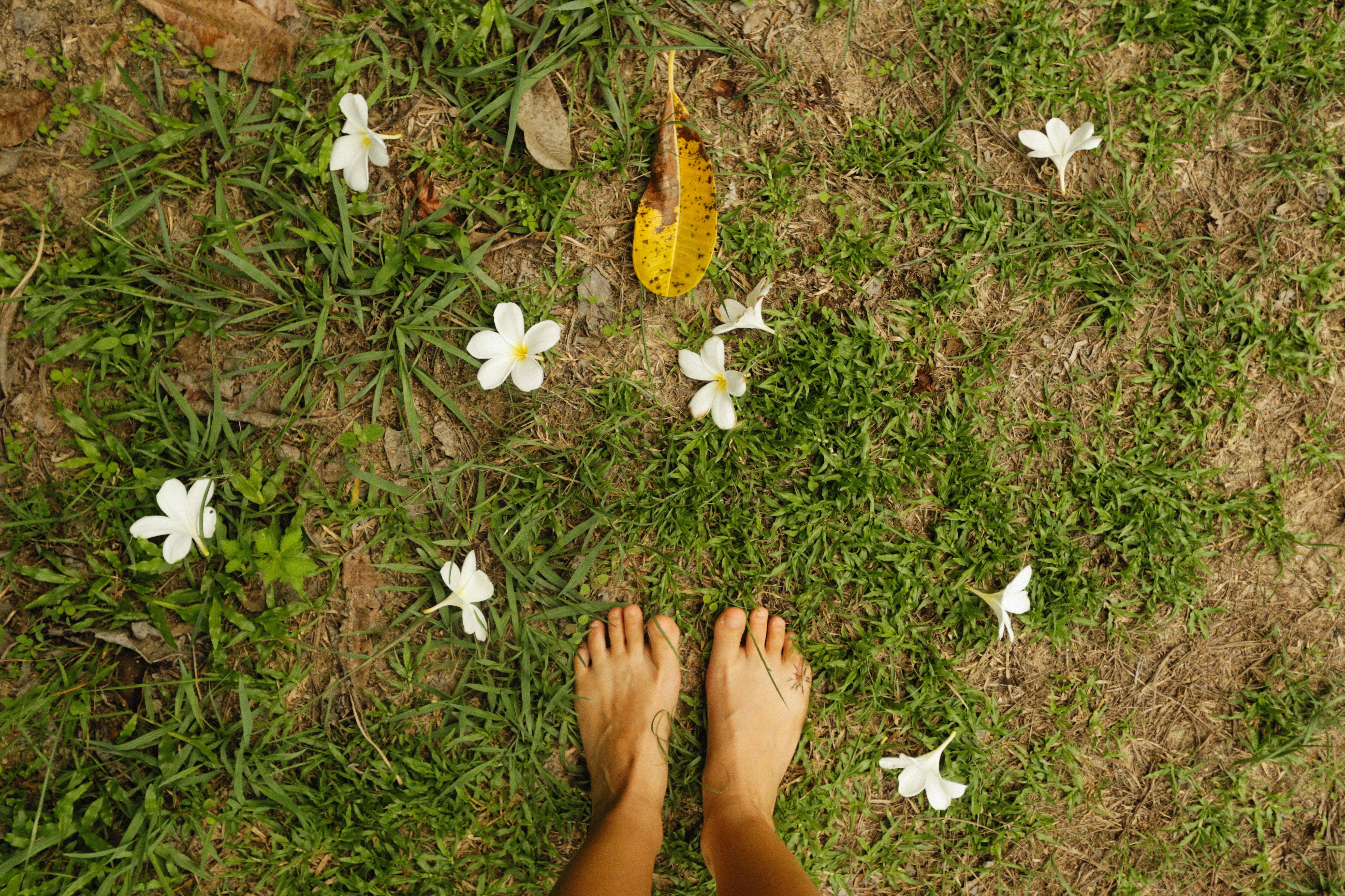Bare feet on grass